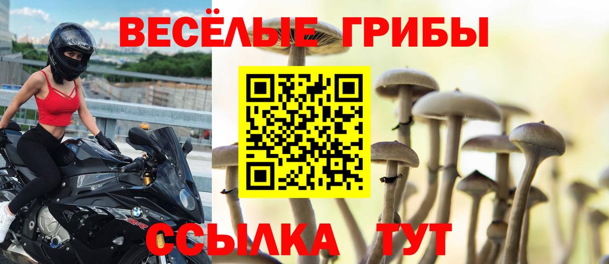 Пушкино  Галлюциногенные грибы Cubensis  Вход с VPN 